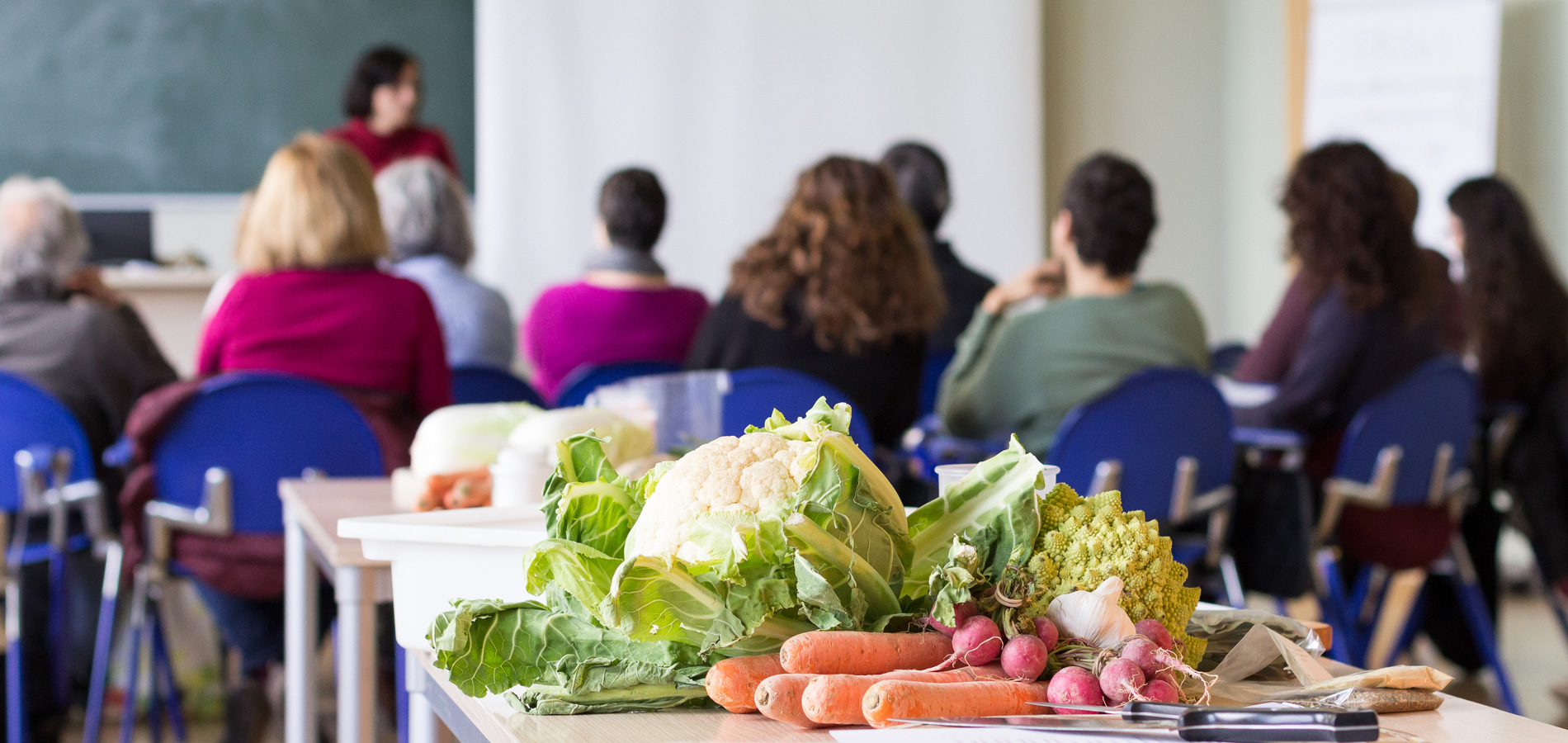 Optikal Ernährungszentrum Zug | Referate Kurse Workshops Publikumsvorträge